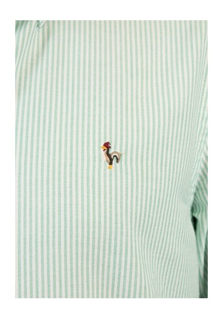 CAMISA CHICO PATADEGAYO LISTAS COLOR VERDE