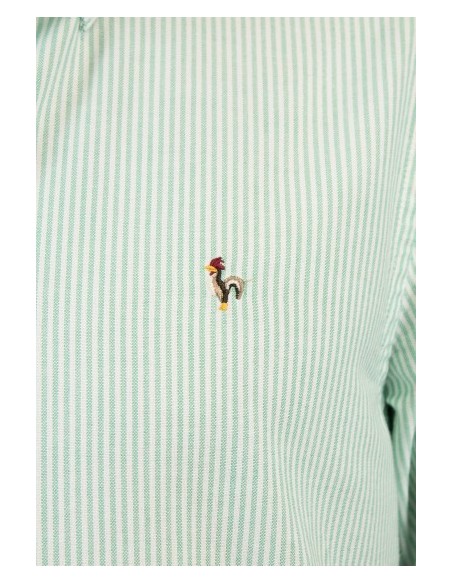 CAMISA CHICO PATADEGAYO LISTAS COLOR VERDE