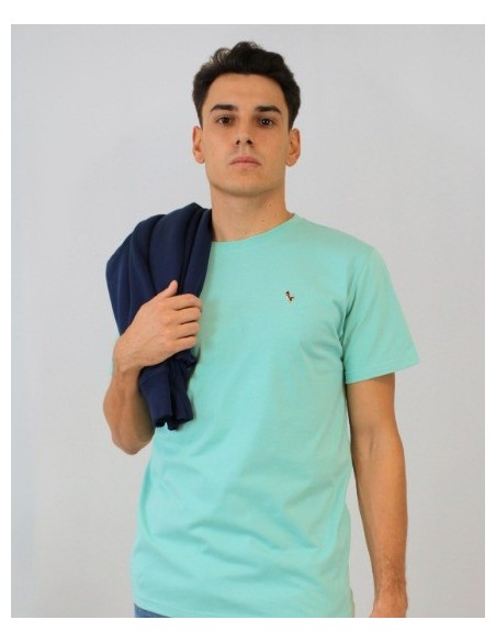 CAMISETA CHICO PATADEGAYO COLOR VERDE MANZANA