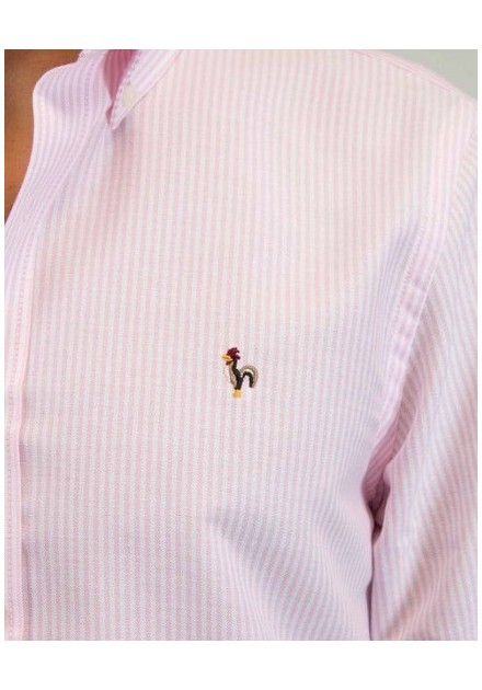 CAMISA CHICO PATADEGAYO LISTAS COLOR 5 ROSA